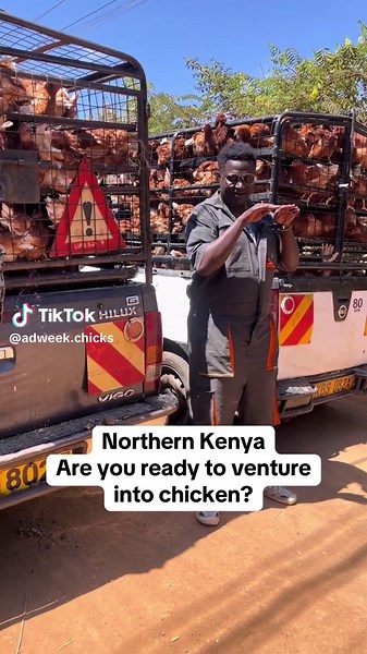 Poultry Farming Innovations in Northern Kenya