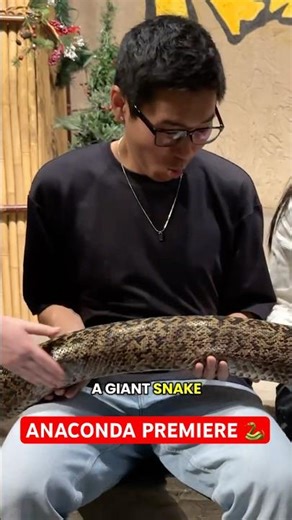 A Giant SNAKE Attacked Me at The Anaconda Premiere! 😱🐍