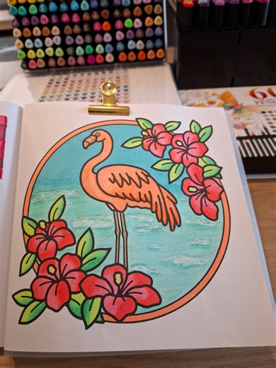 FLAMINGO 🦩....pink up you're life! #decotime #colortiktok #colorwithme #Flamingo
