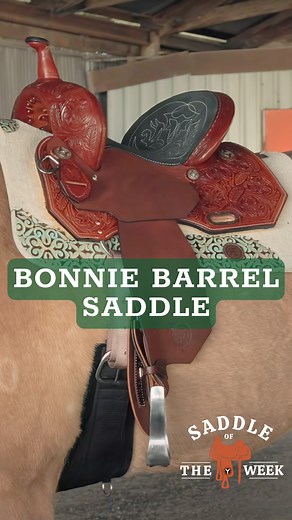 6.8K views · 102 reactions | Introducing the Bonnie Barrel Saddle as...