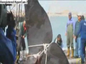 A whale explodes in Taiwan