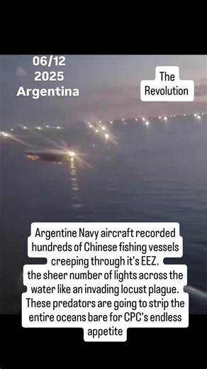 @the_revolution_people on Instagram: "Argentine Navy aircraft recorded hundreds of Chinese fishing vessels creeping through it's EEZ. the sheer number of lights across the water like an invading locust plague. These predators are going to strip the entire oceans bare for CPC's endless appetite #news #viral #trending #currentaffairs #argentina #navy #aircraft #china #military #mandarin"
