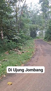 Program 1000 Candi Nusantara Penerima Candi yang tinggal jauh dari Kota Jombang, Masih bertahan kurang dari 5 KK dalam satu desa. Luar biasa 🙏🙏🙏🙏🙏 #program1000candinusantara #BersamaKitaBisaJadiHebat #sesajijawa #elingleluhur #DesaKalaPatra #leluhurjawa #kediriberbudaya #wongjowoojolalijawane #jombangberiman #sajen #sabar | Mas Tyo Khadiri