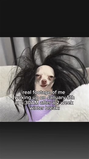 meme on Instagram: "中国正在研发一种压电地板技术，能够将人们日常行走时产生的压力转化为电能。当地板受到脚步踩踏时，内部压电材料会发生微小形变并释放电荷，虽然单步发电量有限，但在商场、地铁站、机场和大型活动场所等人流密集区域，能量可不断累积，为照明、显示屏和监控设备提供稳定电力。这项技术减少了对传统能源的依赖，也让“走路”成为可持续能源的一部分，为绿色和智慧城市建设带来新思路。#中国 #科技 #创新 #科普 #绿色能源"