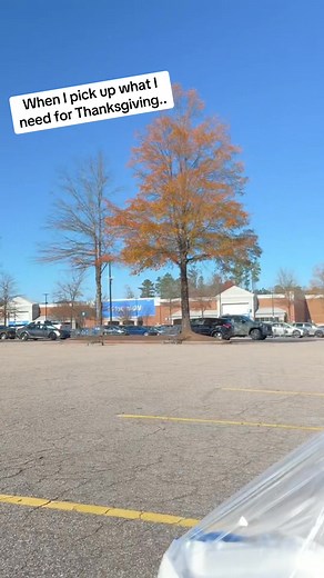 550 reactions · 66 shares | Sam's Club and Walmart must have heard my humble cry!! In and out and All the registers were open?! hope you get a big slice of turkey on Thursday! #fyp #viral #trending #humor #thanksgiving #walmart #samsclub | Brandon Foster | Facebook