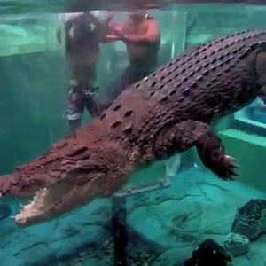 34K views · 19 reactions | Nature Lines on Reels | Facebook