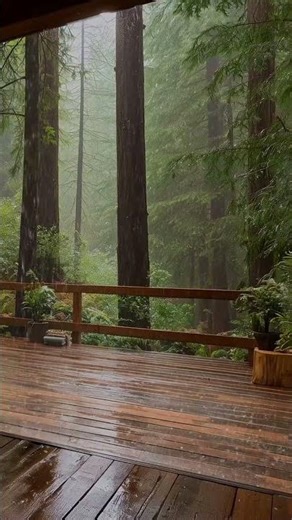 Gentle Night Rain 🌧️ Perfect for Deep Sleep & Relaxation