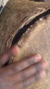 How to play Nyau Gule drums #africandrums #drumming #africantraditionalmusic #zimbabwe