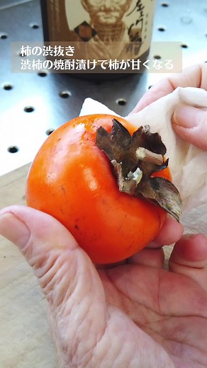 柿の渋抜きの方法って知ってる？ 今回のばあちゃんの料理教室は「農家直伝！柿の渋抜きのやり方／渋柿の焼酎漬けで柿が甘くなる」を紹介します。 農家直伝！柿の渋抜きのやり方／渋柿の焼酎漬けで柿が甘くなる／ばあちゃんの料理教室 https://hakuraidou.com/blog/132717/ ◎Q&A◎ Q. なぜ柿のヘタに焼酎を漬けるだけで渋抜きができるの？ A.柿にはタンニンという渋み成分が含まれています。 タンニンは水溶性で水に溶ける物質のため、渋柿をそのまま食べるとタンニンが唾液に溶けて渋みを感じます。 そこで、アルコールで渋抜きをするわけです。 柿にアルコールを吸収させるとタンニンとアセトアルデヒドが結合してタンニンが不溶性となり、渋みを感じなくなります。 他にもドライアイスで処理する方法もあります。 ドライアイスによって酸素不足になって呼吸ができなくなると、ブドウ糖から始まる呼吸の解糖系の産物であるピルビン酸が分解されずに、ピルビン酸からアセトアルデヒドができてしまいます。 また、干し柿は皮をむくことにより、表面に皮膜ができると果実が呼吸ができなくなり、アセトアルデヒドが溜ま