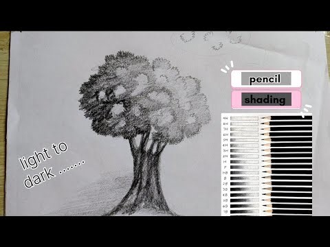 Day -3 how to draw tree with pencil#art #artclass #paintingdrawing