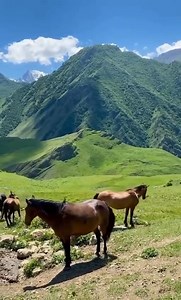 Quiz: Who knows where is it in Russia? UPDATE: You will find the correct answer in our comment below.😀 | Beautiful Russia