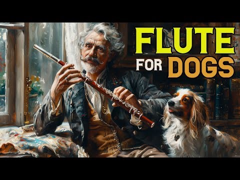 Flute for Dogs - Classical Music for Dogs - Music for Dogs with Anxiety