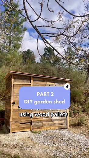 Building a DIY Garden Shed with Reclaimed Wood