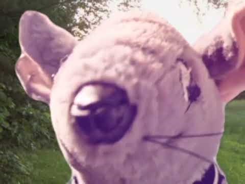 An Looney Episode 1 - Halloween intro