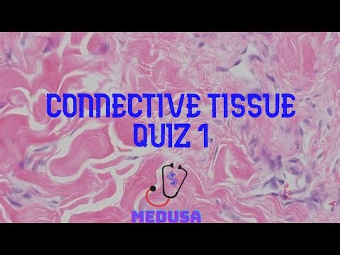 CONNECTIVE TISSUE QUIZ 1