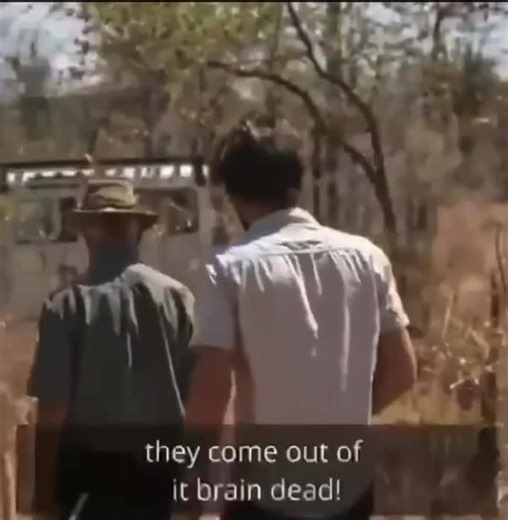 311K views · 10K reactions | Real science is beautiful because it...