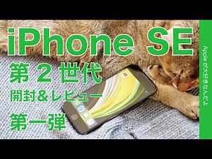 来たぞ！iPhone SE 第2世代実機 開封＆レビュー第一弾！XRの小型のような8の進化版のようなユルさが良い・8/XR/11/11Proと比較