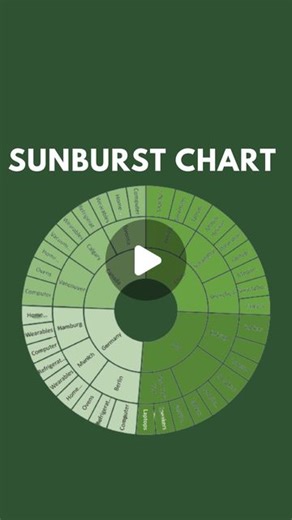 Tech | Productivity | AI on Instagram: "How to create a Sunburst Chart in Excel? Subscribe to my YouTube channel! https://www.youtube.com/@DailyComputing #exceltips #exceltutorial #exceltipsandtricks #microsoftexcel #spreadsheets #productivityhacks #dataanalysis #excelshortcuts #excelskills #excelmasteryskills #excel #exceldashboard #excelforbeginners #excelforbusiness #businessintelligence"