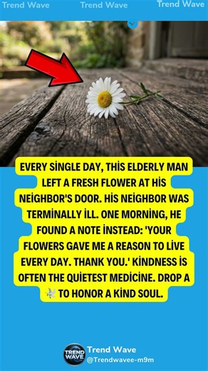 The Last Neighbor Visit