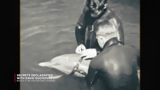 🕵️‍♂️ Gadgets, codes, and deception—this is spycraft in the shadows. Watch as David Duchovny dives into the cutting-edge (and often unbelievable) tech that powered real-life espionage missions. From Cold War classics to futuristic devices, these secrets were never meant to be seen. Catch more of Secrets Declassified With David Duchovny on The HISTORY™ Channel. #SecretsDeclassifiedWithDavidDuchovny #SecretsDeclassified #DavidDuchovny #Spytech #TheHistoryChannel #HistoryAsia #HistoryTV | HISTORY