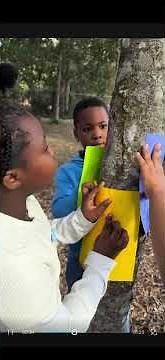 CSLS 4th Grade Science - “Tree Traits” Making observations and Collecting Data