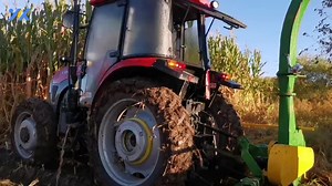 Single Row Chopper Corn Silage Forage Harvester Machine with Pto Tractor Mounted