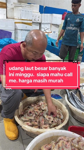 Ah New Fishery Sdn Bhd (@ah.new.fishery.sd)’s videos with 原声 - Ah New Fishery Sdn Bhd