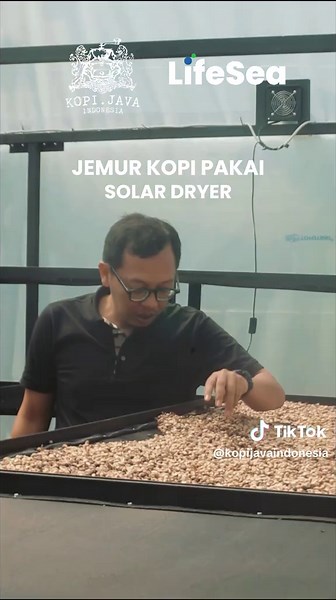 Kopi Java Id on TikTok