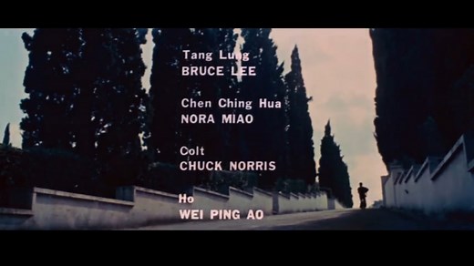 ドラゴンへの道（猛龍過江、The Way of the Dragon）