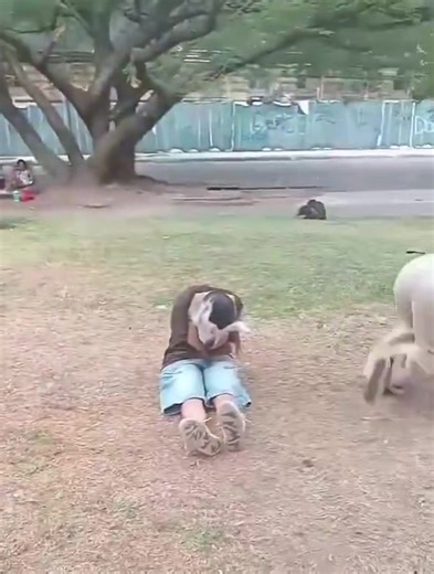 Nacionales | Circula video de una reunión de jóvenes que se identifican como “therians” en un parque de Zacamil generó sorpresa entre transeúntes. El encuentro se realizó a un costado de Unicentro Metrópolis y terminó cuando el vigilante del sector les pidió retirarse tras quejas de algunos presentes. | Perspectiva Global 503