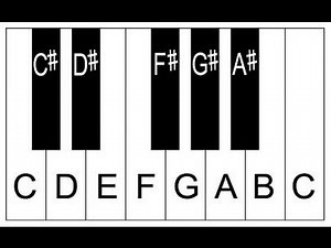 Piano Lesson 2: How To Label Piano Keys Part 2 - Piano Keyboard Layout Video Lecture | Piano Training: Basics to Expert (English) - Music