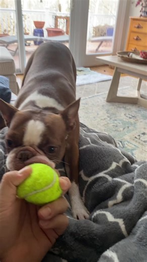 js1223334444 (@js1223334444)’s videos with original sound - js1223334444