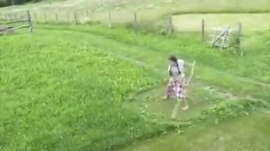 89K views · 864 reactions | Amazing technique | PositiveGardening | Facebook