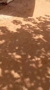 AFRICA MASQUERADE VIBES SERIES 10 2025 #followerseveryone #2025reels #facebookreelsviral #fpyシ #facebookviral #instagramreels #istagram #facebookpost #follower #indian @highlight Hammed Nofiu Ifa Education | Adeyemi Toba