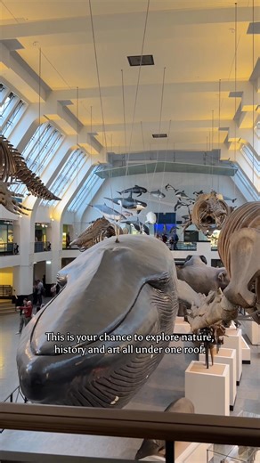 Experience a day to remember, filled with nature, science and culture at the Museum☀️🌍 Book a free ticket today 🎟😎 | Natural History Museum, London