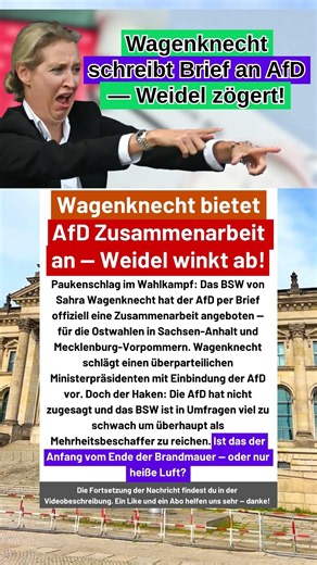 Wagenknecht schreibt der AfD einen Brief — doch von einem Pakt will Weidel nichts wissen! #breaking