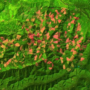 NASA Scientific Visualization Studio | Zoom into Olympic National Forest Time Lapse: 1984 to 1995