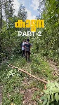 When I went to catch a wild elephant 😳,part-2 #vlog #rescue #willdlife