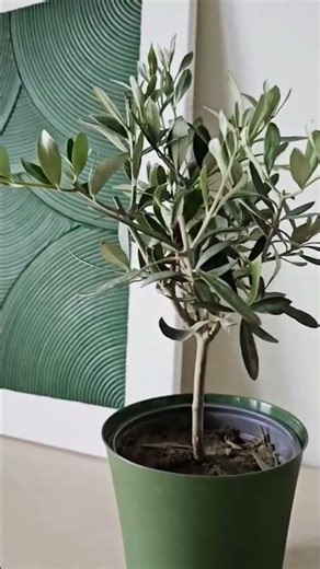 VinchyArt | The charm of lines:Abstract texture painting