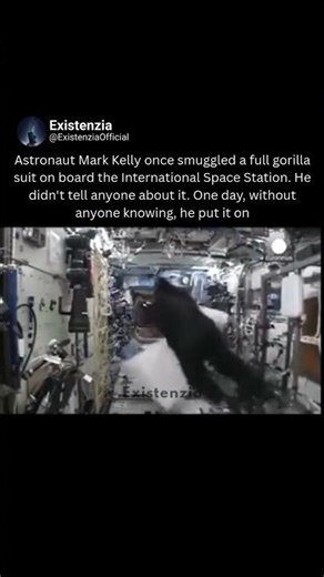 When an Astronaut Wore a Gorilla Suit on the ISS