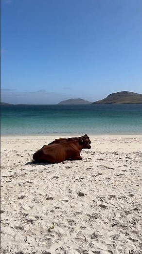 Scotland’s MOST BEAUTIFUL Beach!