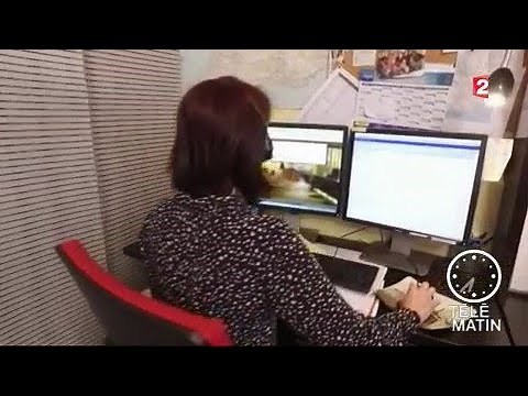 Emploi - Le télétravail