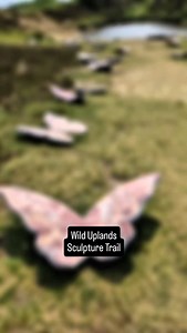 162 reactions · 50 shares | I love a visit to Haworth, so when I...