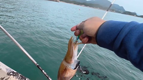 Disgusting moment cuttlefish spins like tornado unleashing spiralling cloud of ink onto fisherman