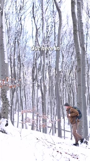 Cooking over a campfire Ever built a bushcraft tripod Let’s make one—quick, simple, and solid🔥 | Camping With Braylon