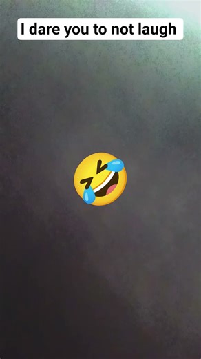 i dare you #funny #memes #dare #comedy