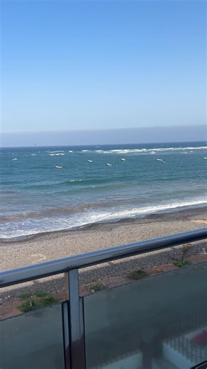 Understanding Seagull Behavior and Migration Patterns