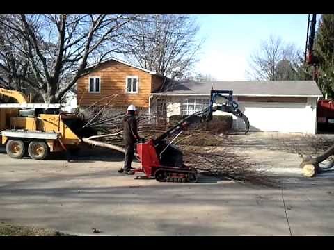 video-2010-michael poor one man tree service