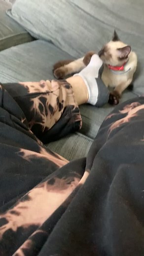 J-me (@se7_7ven)’s videos with original sound - J-me