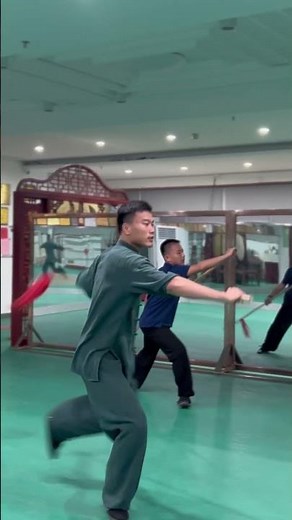 一点寒芒先到，随后枪出如龙 Tai Chi Spear